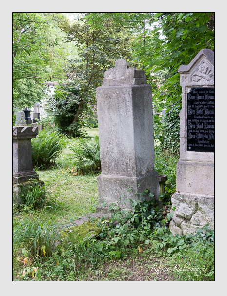 Kein grab ist stumm der friedhofsführer zum alten südfriedhof münchen