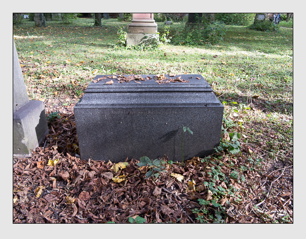Kein grab ist stumm der friedhofsführer zum alten südfriedhof münchen