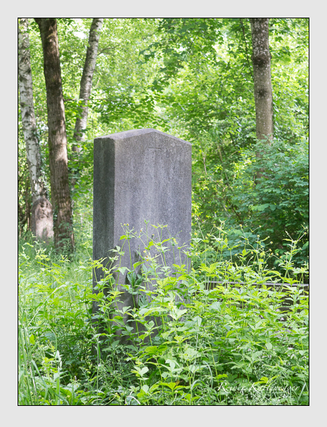 Kein grab ist stumm der friedhofsführer zum alten südfriedhof münchen