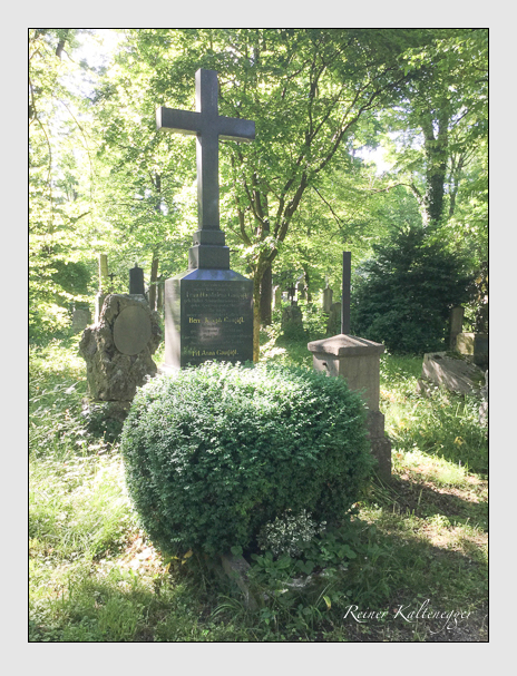 Kein grab ist stumm der friedhofsführer zum alten südfriedhof münchen