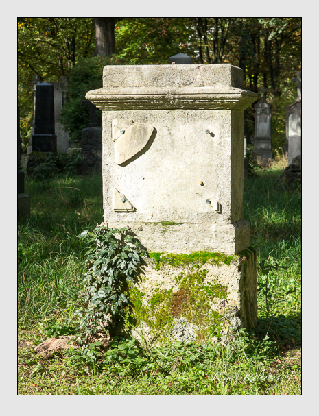 Kein grab ist stumm der friedhofsführer zum alten südfriedhof münchen