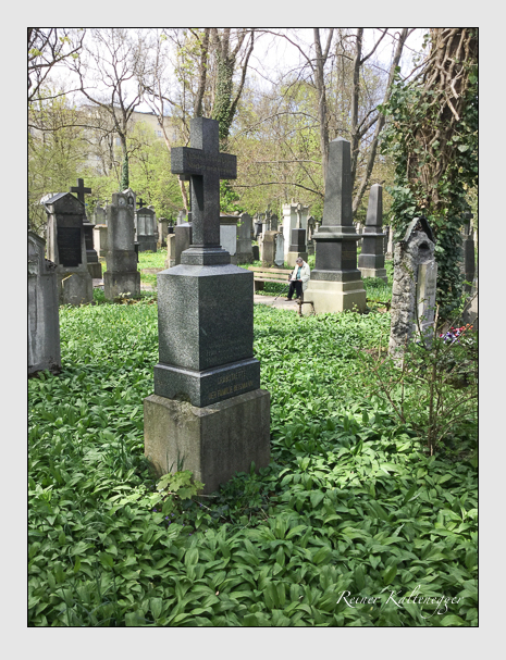 Kein grab ist stumm der friedhofsführer zum alten südfriedhof münchen