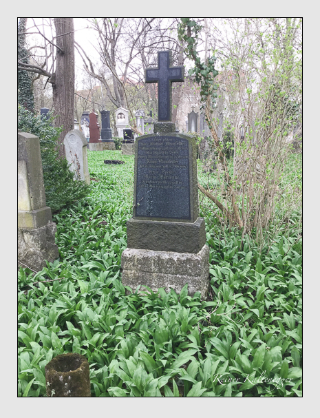 Kein grab ist stumm der friedhofsführer zum alten südfriedhof münchen