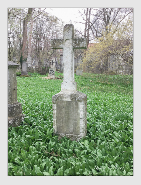 Kein grab ist stumm der friedhofsführer zum alten südfriedhof münchen