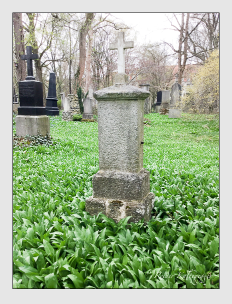 Kein grab ist stumm der friedhofsführer zum alten südfriedhof münchen