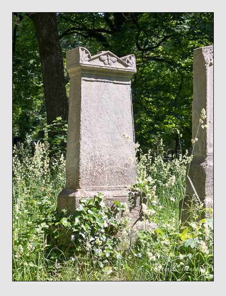 Kein grab ist stumm der friedhofsführer zum alten südfriedhof münchen
