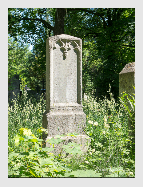 Kein grab ist stumm der friedhofsführer zum alten südfriedhof münchen