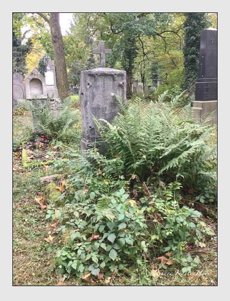 Kein grab ist stumm der friedhofsführer zum alten südfriedhof münchen