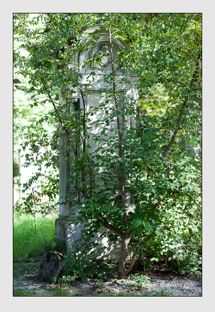 Grab der familie schreyer auf dem alten südfriedhof münchen