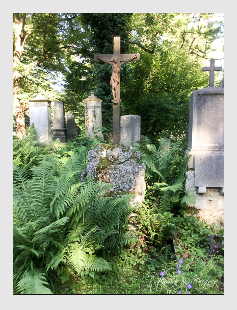 16 13 26 (kisser · schwarzenbach)