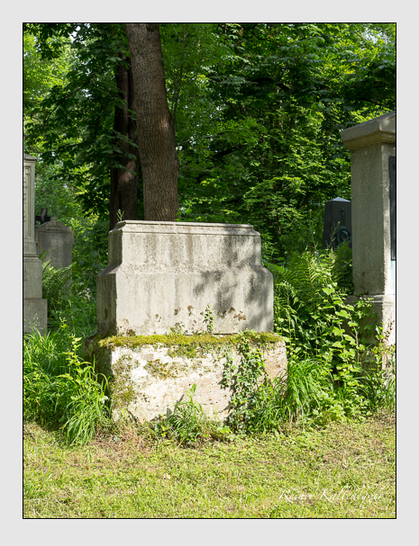 Kein grab ist stumm der friedhofsführer zum alten südfriedhof münchen