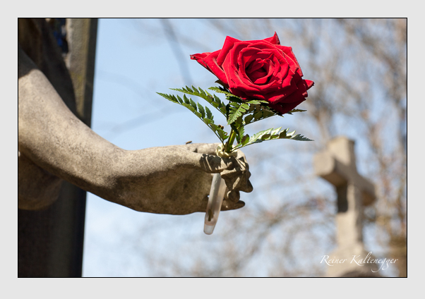 Grab der familie meier auf dem alten südfriedhof münchen