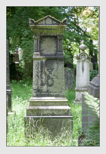 Kein grab ist stumm der friedhofsführer zum alten südfriedhof münchen