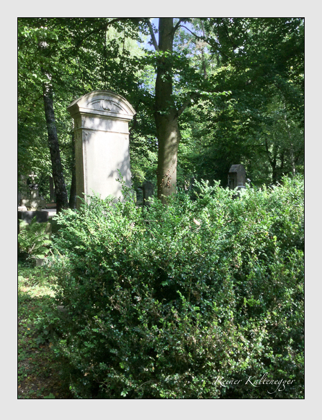 17 12 51·52 (kleeblatt · rasch)