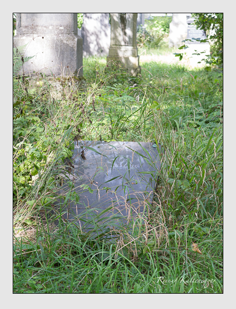 Kein grab ist stumm der friedhofsführer zum alten südfriedhof münchen