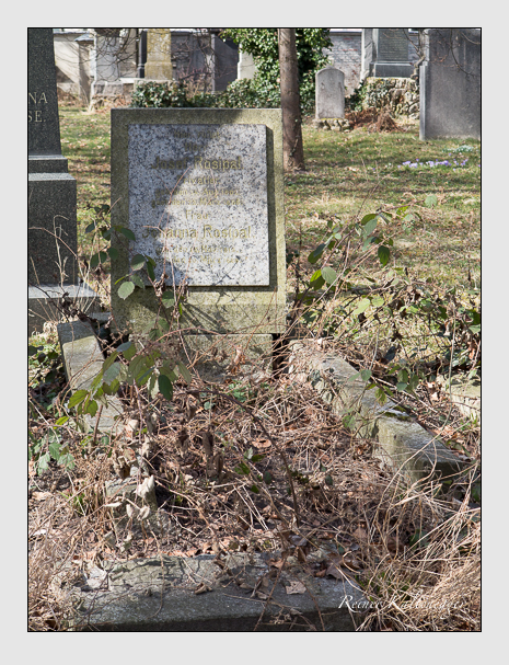 Kein grab ist stumm der friedhofsführer zum alten südfriedhof münchen