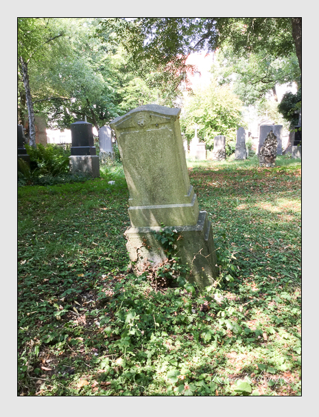 Kein grab ist stumm der friedhofsführer zum alten südfriedhof münchen