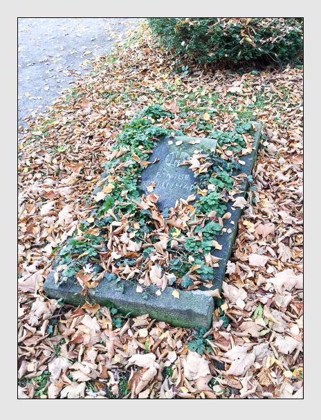 Kein grab ist stumm der friedhofsführer zum alten südfriedhof münchen