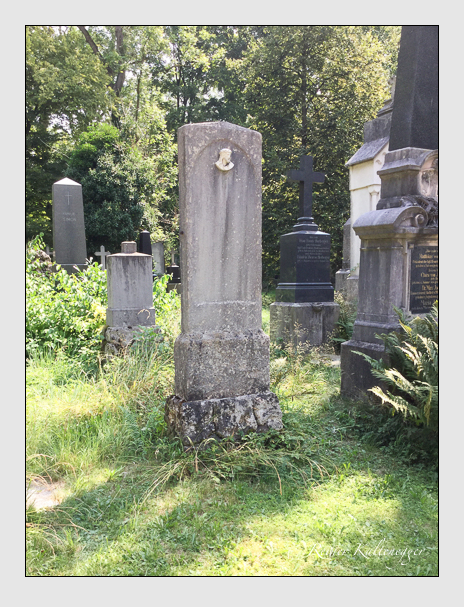 Kein grab ist stumm der friedhofsführer zum alten südfriedhof münchen