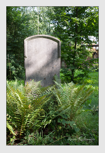 Kein grab ist stumm der friedhofsführer zum alten südfriedhof münchen