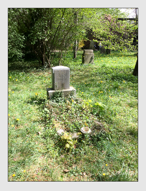 19 05 08 (niebler · schlederer)