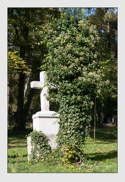 Kein grab ist stumm der friedhofsführer zum alten südfriedhof münchen