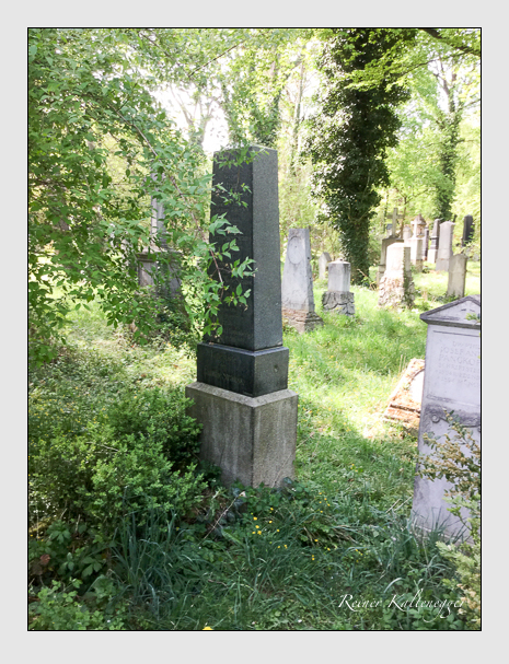 19 10 40 (pappenberger · strauss)