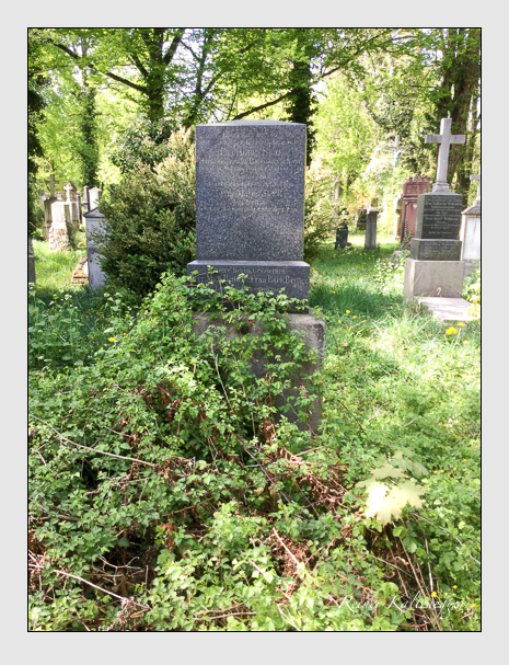 19 12 40 (beitter · steck)