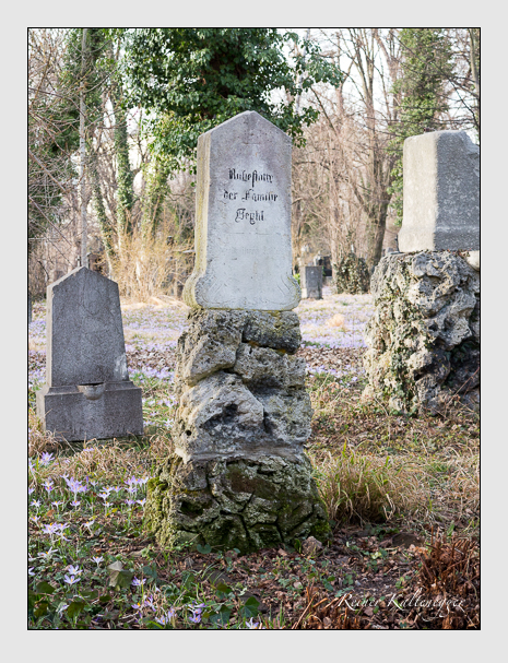 19 13 30 (beyhl)