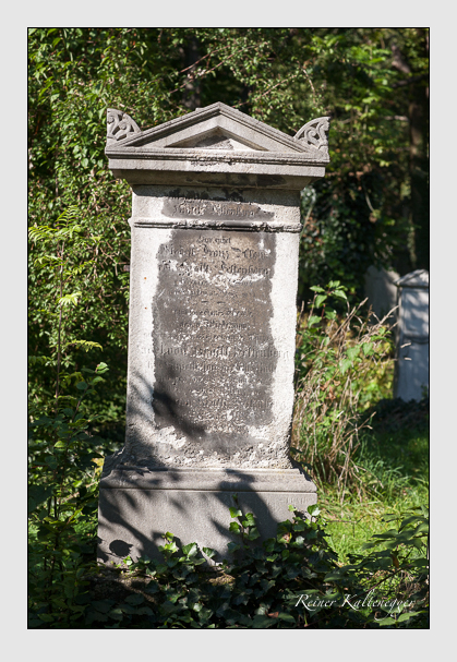 19 (krafft festenberg)