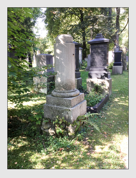 Kein grab ist stumm der friedhofsführer zum alten südfriedhof münchen