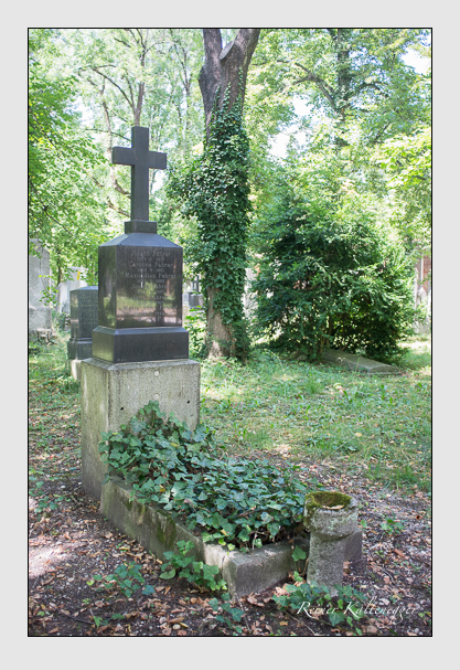 Kein grab ist stumm der friedhofsführer zum alten südfriedhof münchen