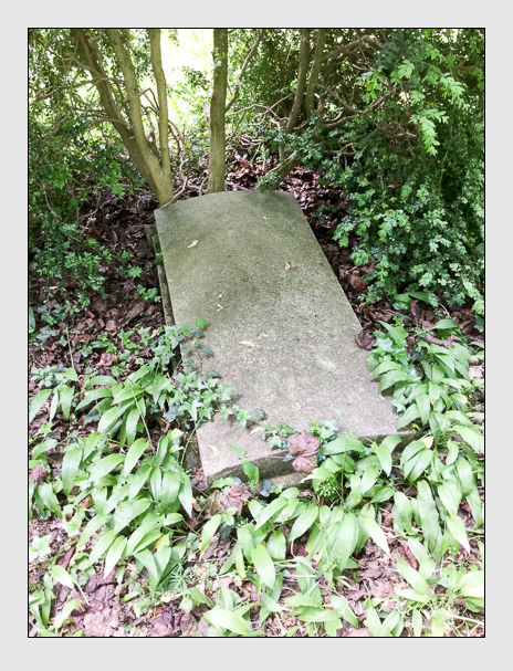 Kein grab ist stumm der friedhofsführer zum alten südfriedhof münchen