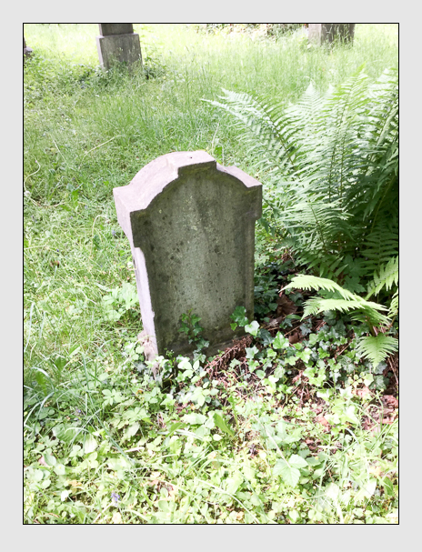Kein grab ist stumm der friedhofsführer zum alten südfriedhof münchen