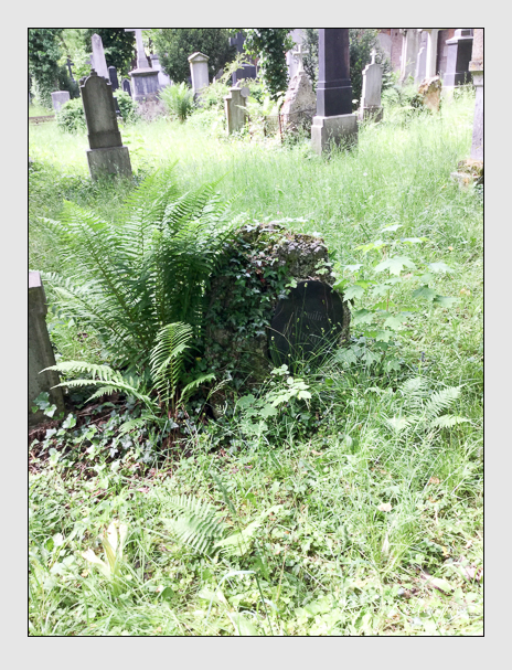 Kein grab ist stumm der friedhofsführer zum alten südfriedhof münchen
