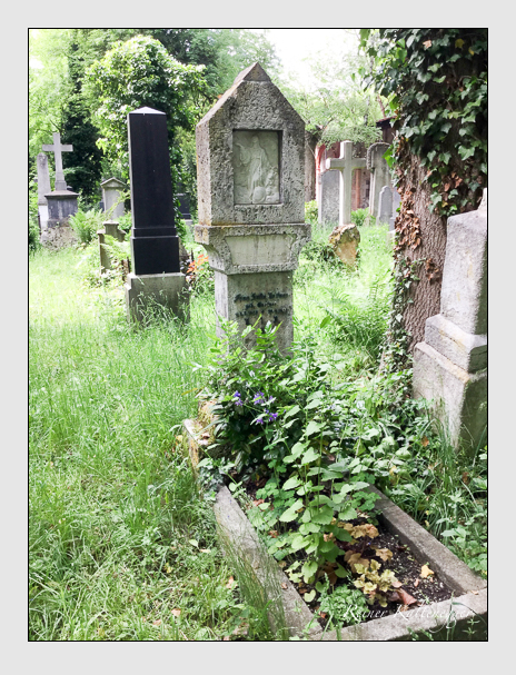 Kein grab ist stumm der friedhofsführer zum alten südfriedhof münchen