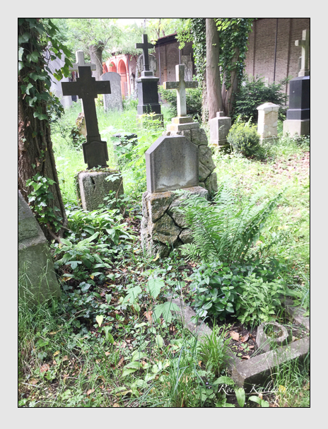 Kein grab ist stumm der friedhofsführer zum alten südfriedhof münchen