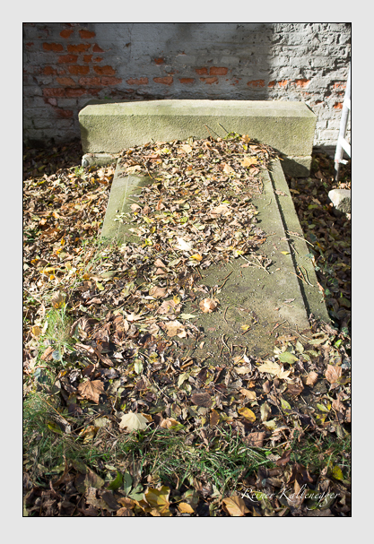 Kein grab ist stumm der friedhofsführer zum alten südfriedhof münchen