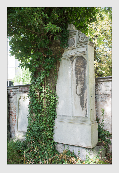 Kein grab ist stumm der friedhofsführer zum alten südfriedhof münchen