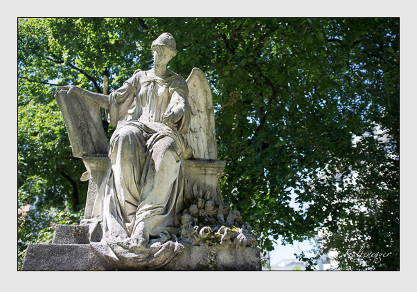 Kein grab ist stumm der friedhofsführer zum alten südfriedhof münchen