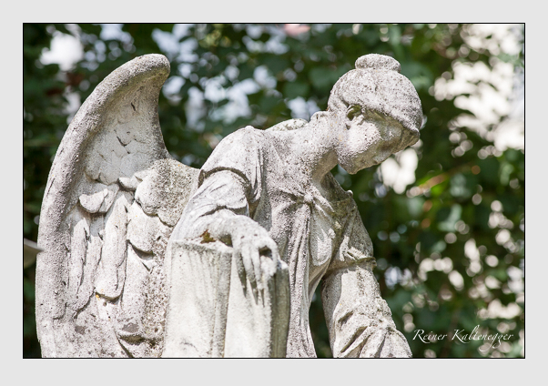 Kein grab ist stumm der friedhofsführer zum alten südfriedhof münchen